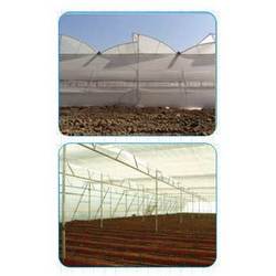 Natural Ventilated Greenhouse Construction Services